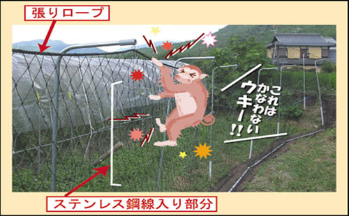 京大方式　猿害防止柵　設置方法